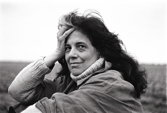 for-sontag-purpose-of-lit-was-change