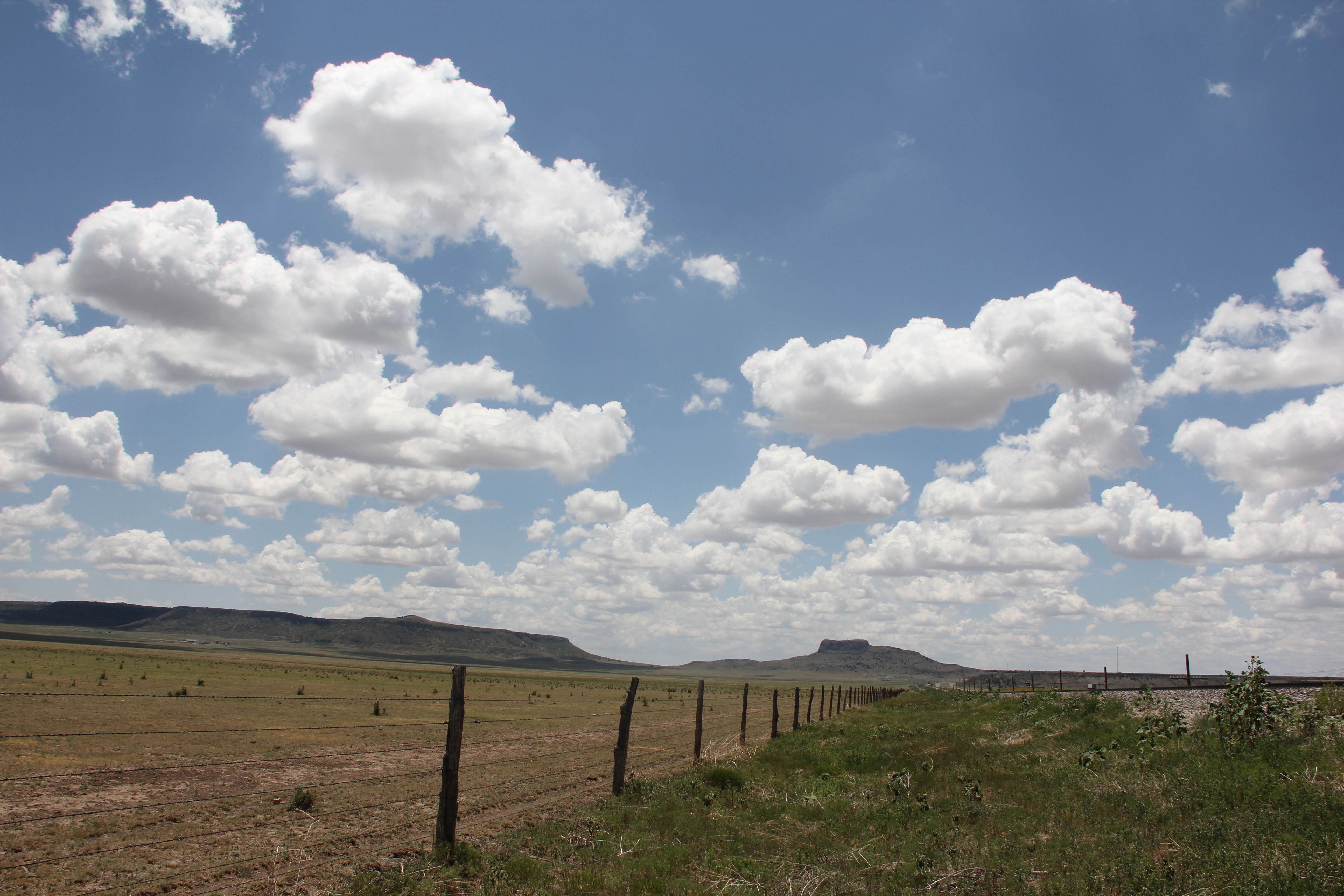 New Mexico cattle fences