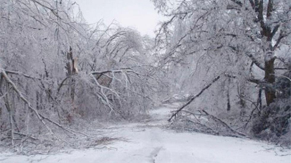 coping-w-life-s-ice-storms-better-living-through-beowulf