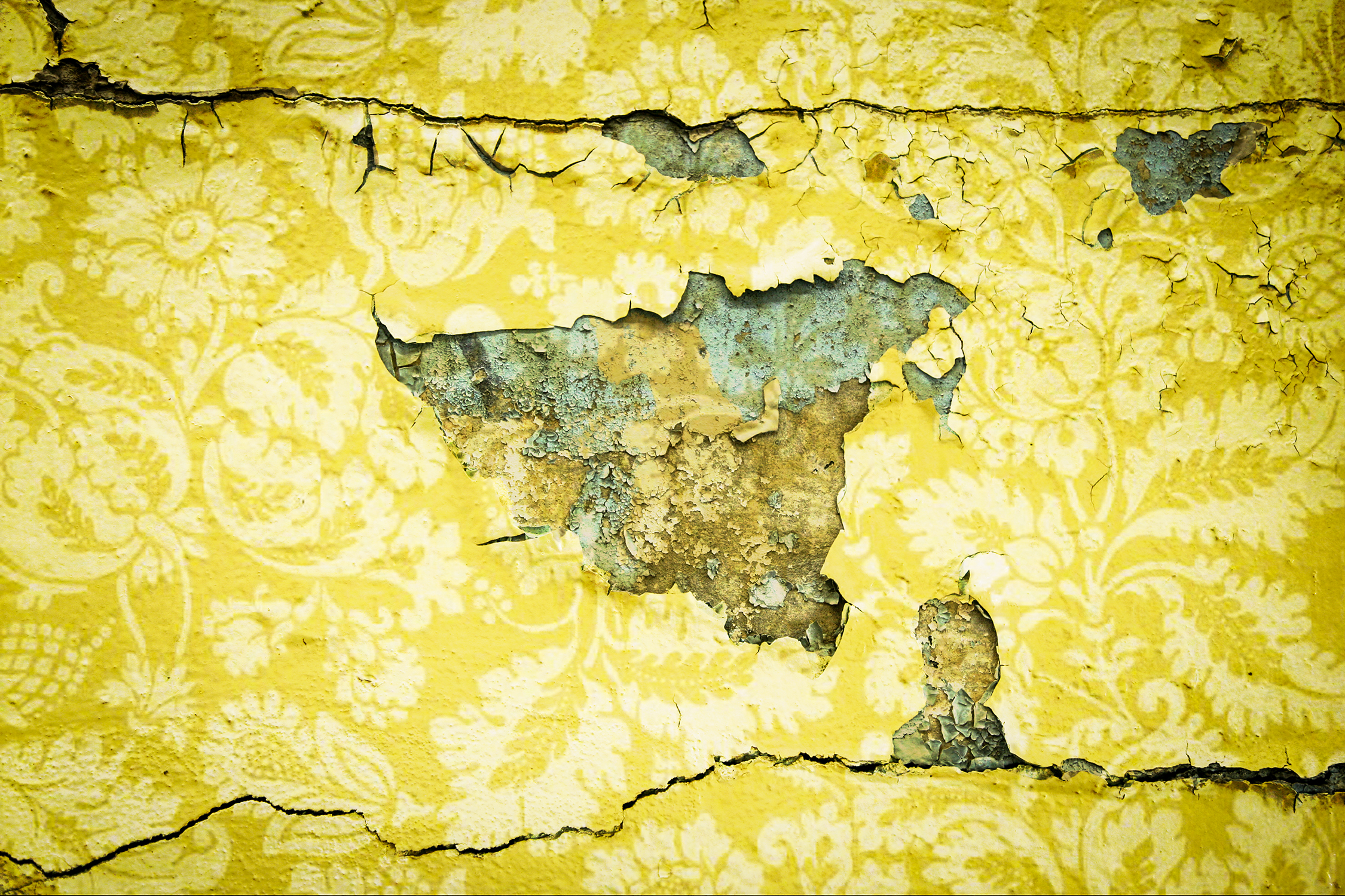 The Yellow Wallpaper - Charlotte Perkins Gilman [BOOK REVIEW] - Diary of  Difference